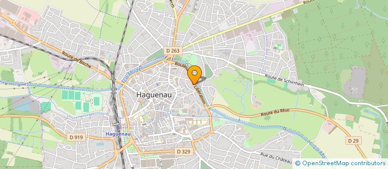 localisation de l'entreprise SYNDICAT COPROPRIETAIRES LES SAPINS  HAGUENAU