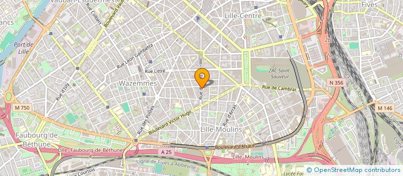 localisation de l'entreprise SYNDICAT COPROPRIETAIRES RES 29 ARTOIS à LILLE