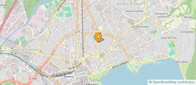 localisation de l'entreprise SYNDICAT COPROPRIETE 17 AV DE LA PLAINE  ANNECY