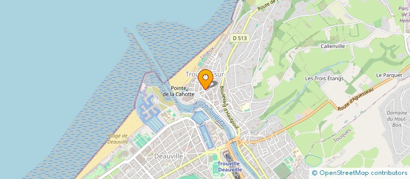 localisation de l'entreprise SYNDICAT COPROPRIETE CYRANO  TROUVILLE-SUR-MER