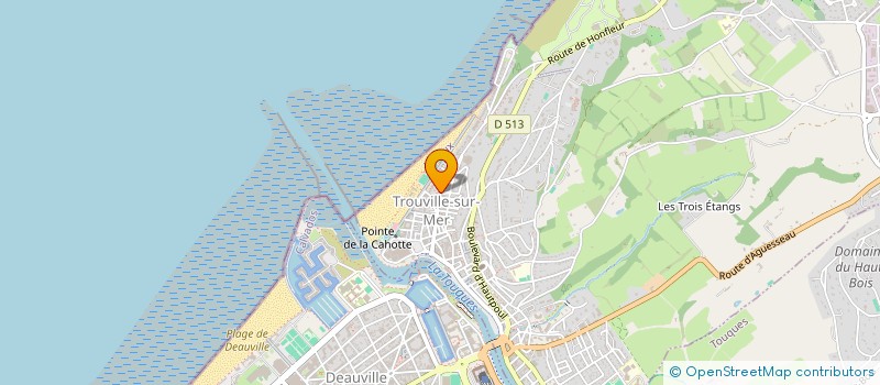 localisation de l'entreprise SYNDICAT COPROPRIETE LA DAUPHINE  TROUVILLE-SUR-MER