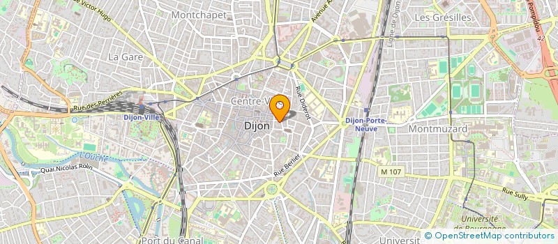 localisation de l'entreprise SYNDICAT COPROPRIETE LONGEPIERRE N10  DIJON