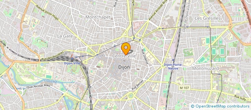 localisation de l'entreprise SYNDICAT COPROPRIETE PLACE NOTRE DAME  DIJON