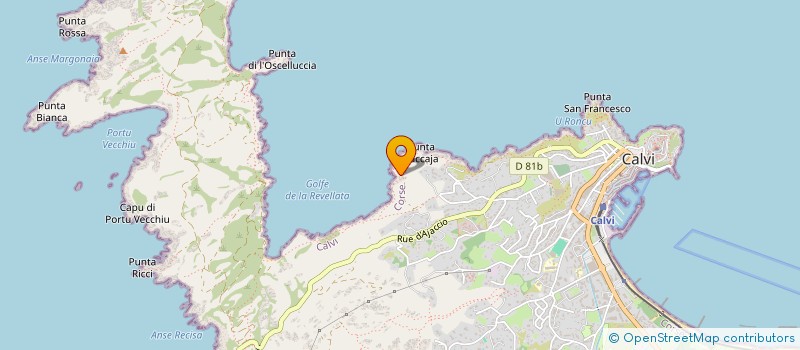 localisation de l'entreprise SYNDICAT D'INITIATIVE CALVI à CALVI