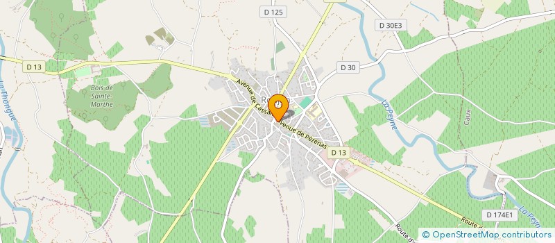 localisation de l'entreprise SYNDICAT DE CHASSE DE NEFFIES  NEFFIES