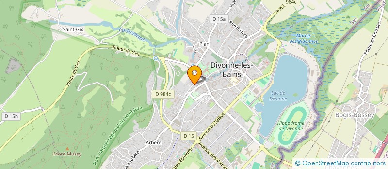 localisation de l'entreprise SYNDICAT DE COPROPRIETAIRES LE REGENCY à DIVONNE-LES-BAINS