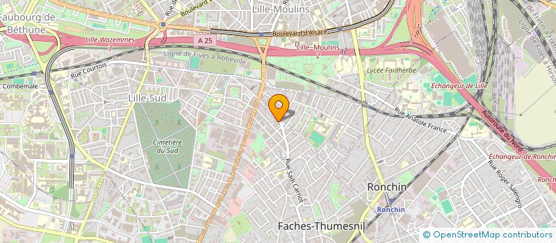 localisation de l'entreprise SYNDICAT DE COPROPRIETE 141 RUE FERRER  FACHES-THUMESNIL