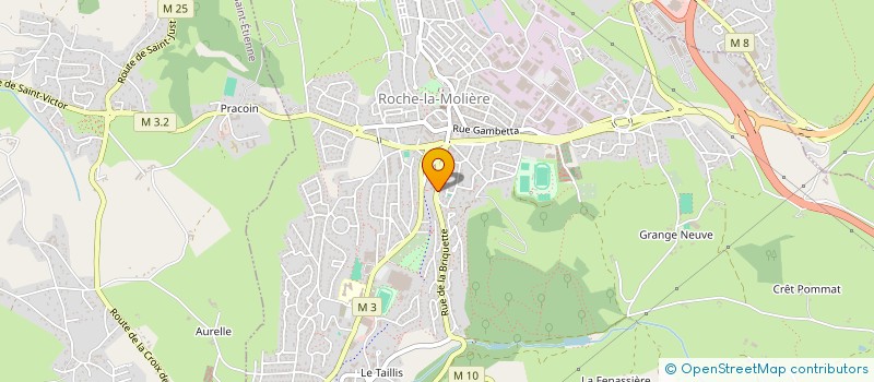 localisation de l'entreprise SYNDICAT DE COPROPRIETE  ROCHE-LA-MOLIERE