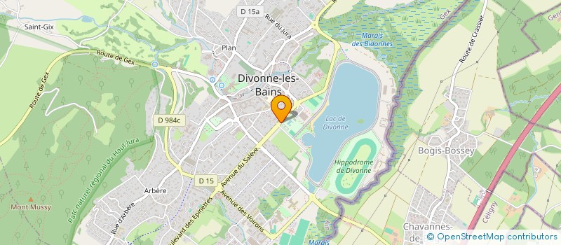 localisation de l'entreprise SYNDICAT DE COPROPRIETE DOMAINE DU LAC à DIVONNE-LES-BAINS