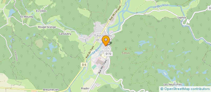 localisation de l'entreprise SYNDICAT DE COPROPRIETE LE COQ GAULOIS  FAUCOGNEY-ET-LA-MER