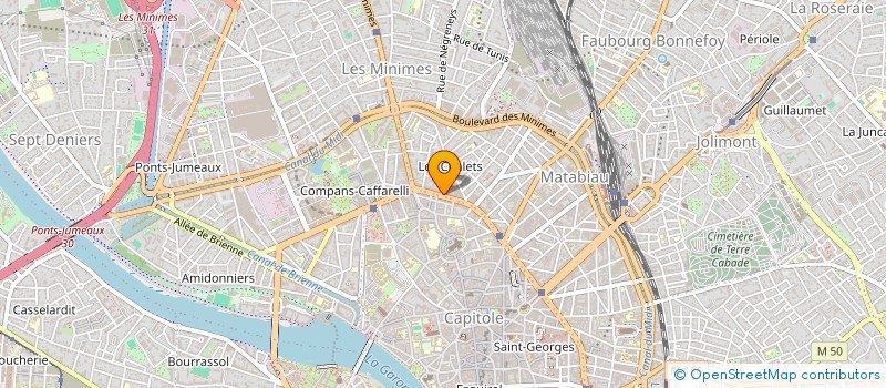 localisation de l'entreprise SYNDICAT DE COPROPRIETE LE PALMIER  TOULOUSE