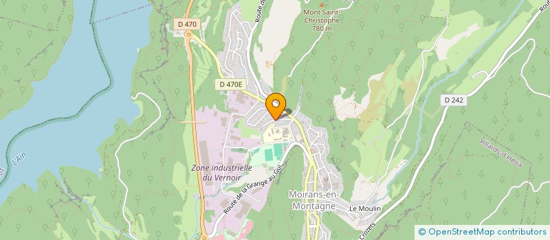 localisation de l'entreprise SYNDICAT DE COPROPRIETE LES TILLEULS  MOIRANS-EN-MONTAGNE
