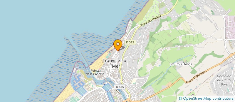 localisation de l'entreprise SYNDICAT DE COPROPRIETE RES D'ORLEANS  TROUVILLE-SUR-MER