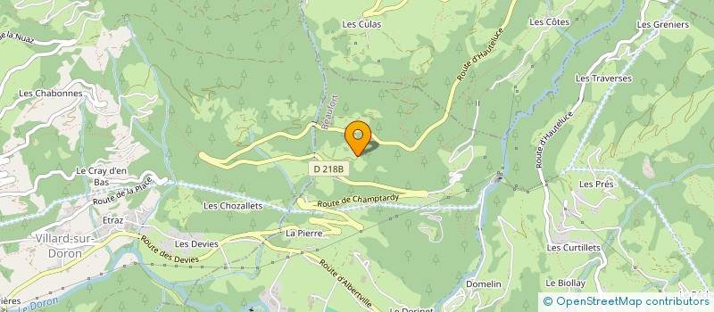 localisation de l'entreprise SYNDICAT DEPARTEMENTAL DES ARTISANTS TAXI DE SAVOIE  BEAUFORT