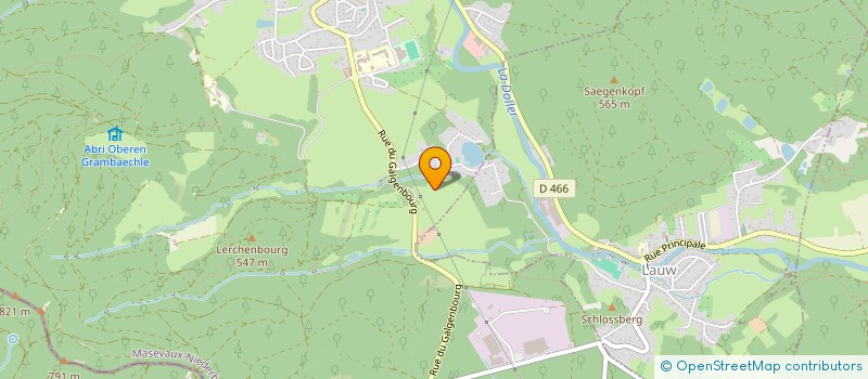 localisation de l'entreprise SYNDICAT DES APICULTEURS DE LA VALLEE DE  MASEVAUX ET ENVIRONS  MASEVAUX-NIEDERBRUCK