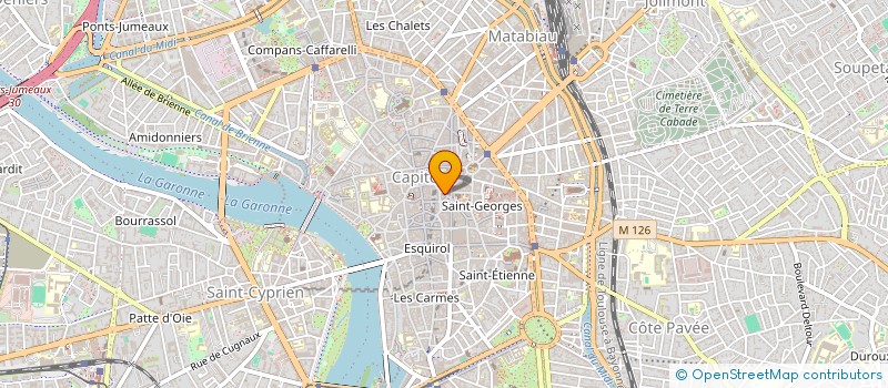 localisation de l'entreprise SYNDICAT DES COPRO 55 R DE LA POMME  TOULOUSE