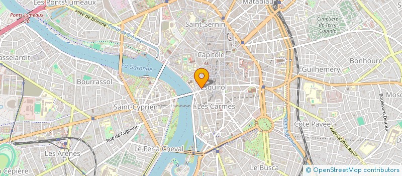 localisation de l'entreprise SYNDICAT DES COPROPRIETAIRE DE L à TOULOUSE