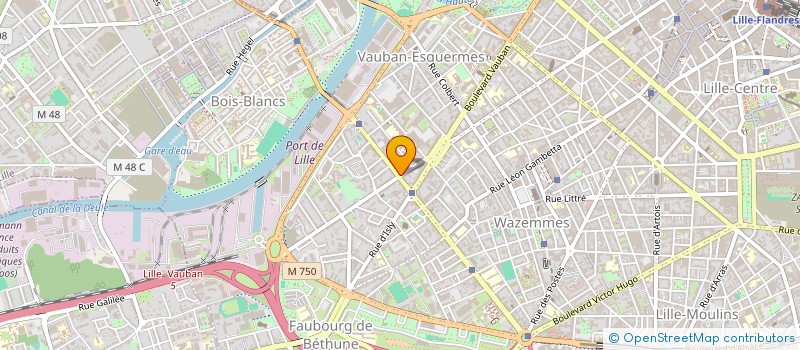 localisation de l'entreprise SYNDICAT DES COPROPRIETAIRES 46 RUE DE LA BASSEE à LILLE
