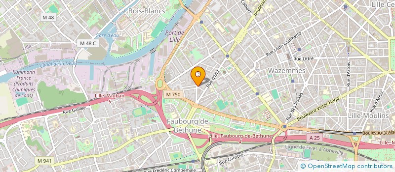 localisation de l'entreprise SYNDICAT DES COPROPRIETAIRES 49 RUE VERGNIAUD à LILLE