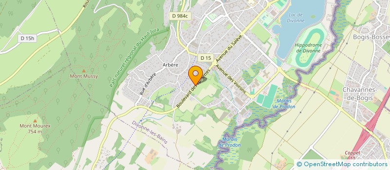 localisation de l'entreprise SYNDICAT DES COPROPRIETAIRES DIVONA PARK à DIVONNE-LES-BAINS