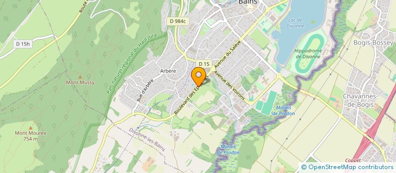 localisation de l'entreprise SYNDICAT DES COPROPRIETAIRES DIVONNA PARK 2 à DIVONNE-LES-BAINS