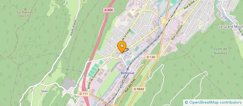 localisation de l'entreprise SYNDICAT DES COPROPRIETAIRES LA FONTAINE à BELLIGNAT