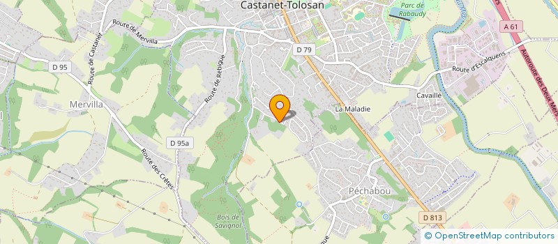 localisation de l'entreprise SYNDICAT DES COPROPRIETAIRES LE CLOS DES PALMIERS à CASTANET TOLOSAN