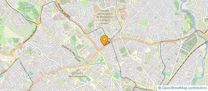 localisation de l'entreprise SYNDICAT DES COPROPRIETAIRES LE PUCCINI à MONTPELLIER