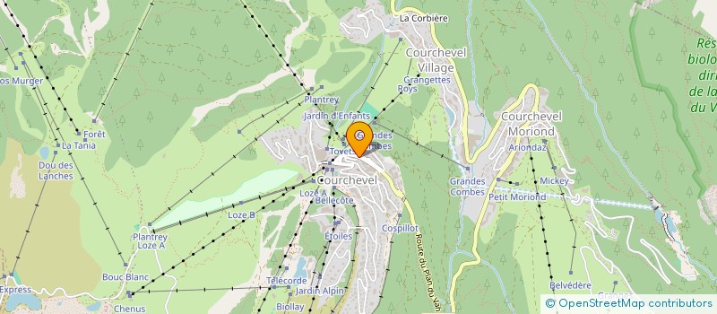localisation de l'entreprise SYNDICAT DES COPROPRIETAIRES LES FOLLIERES à COURCHEVEL