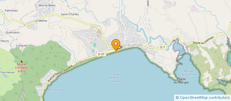 localisation de l'entreprise SYNDICAT DES COPROPRIETAIRES MONTLARCHER  LE DIAMANT