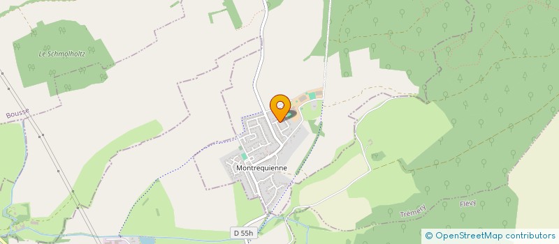 localisation de l'entreprise SYNDICAT DES COPROPRIETAIRES RESIDENCE ELOGIA BERTRANGE  BERTRANGE