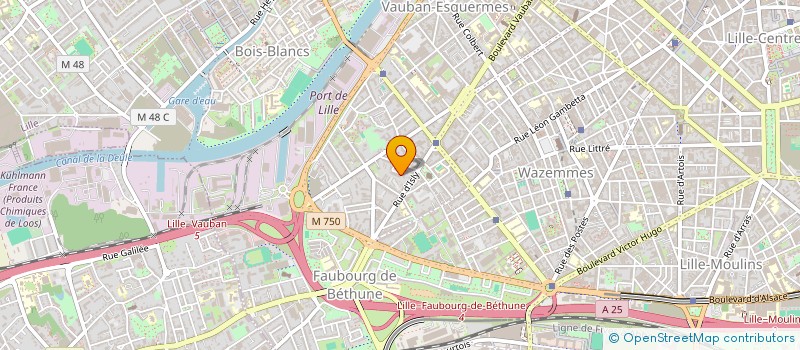 localisation de l'entreprise SYNDICAT DES COPROPRIETAIRES RESIDENCE ERMITAGE à LILLE
