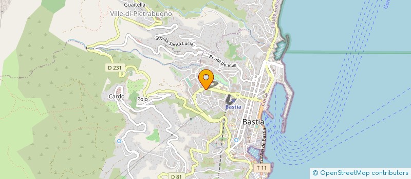 localisation de l'entreprise SYNDICAT DU PRUNEAU DE CORSE à BASTIA