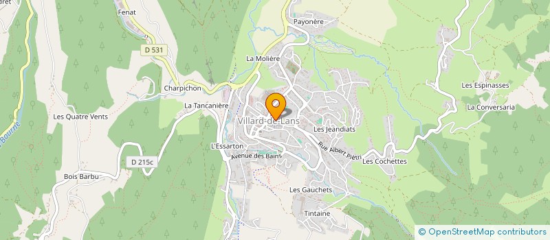 localisation de l'entreprise SYNDICAT ESF VILLARD DE LANS  VILLARD-DE-LANS