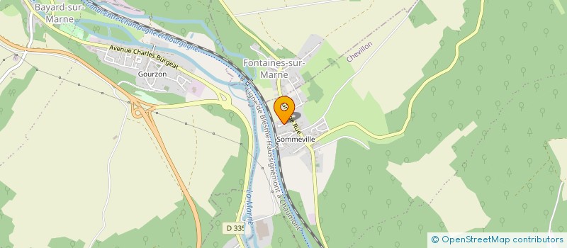 localisation de l'entreprise SYNDICAT INITIATIVE VALLEE DE LA MARNE à CHEVILLON