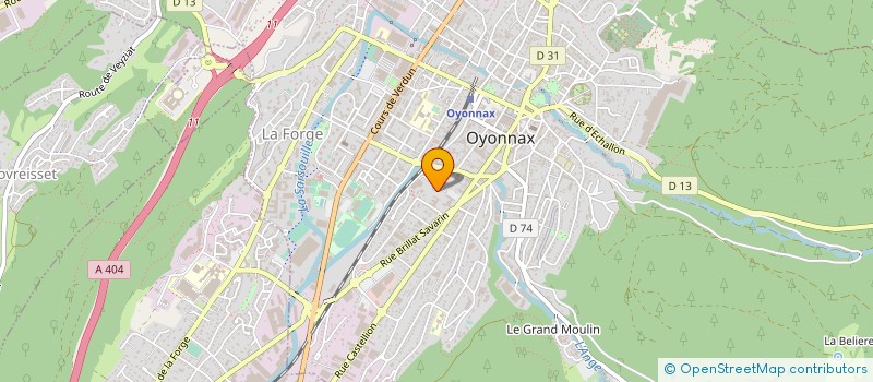 localisation de l'entreprise SYNDICAT INTERHOSPITALIER NANTUA OYONNAX à OYONNAX