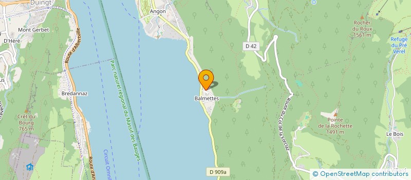 localisation de l'entreprise SYNDICAT LOCAL ANNECY PARAPENTE  TALLOIRES-MONTMIN