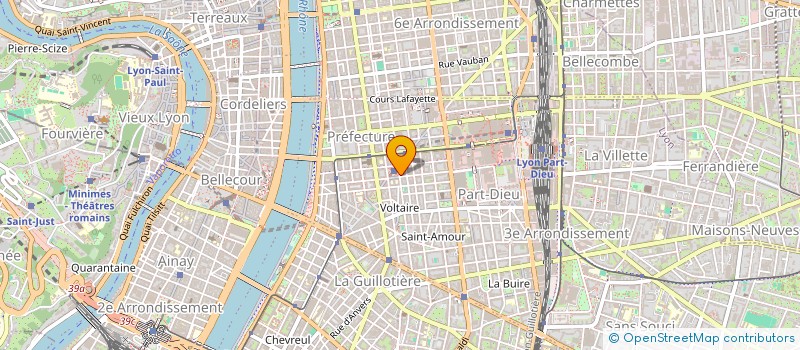 localisation de l'entreprise SYNDICAT LOCAL PROFESSIONNEL - CGT DE L'ACTION SOCIALE DE LYON  LYON