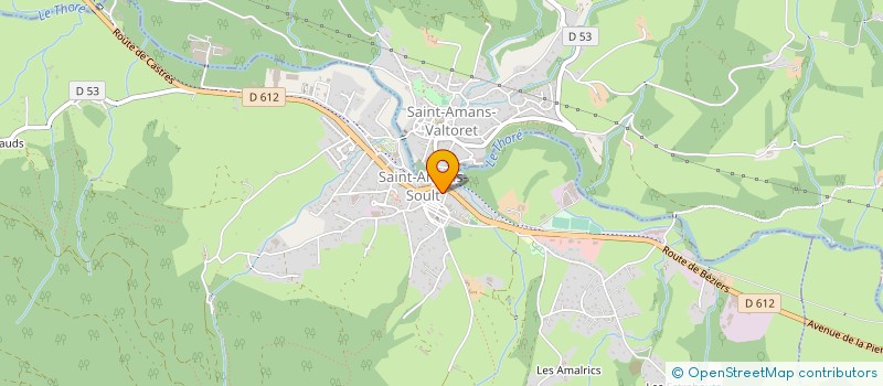 localisation de l'entreprise SYNDICAT MIXTE DE SAINT-AMANS à SAINT-AMANS-SOULT