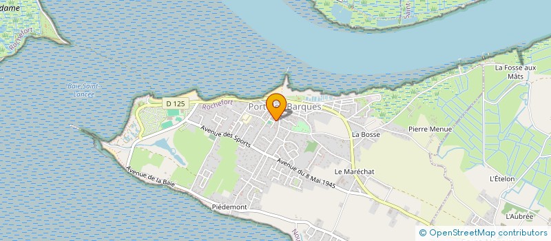 localisation de l'entreprise SYNDICAT OSTREICOLE RIVE GAUCHE CHARENTE  PORT-DES-BARQUES