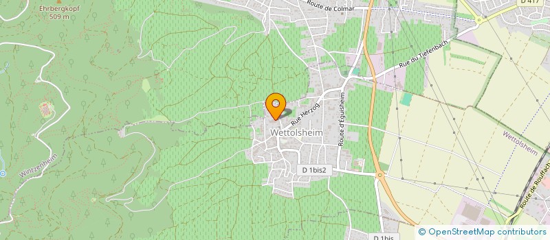 localisation de l'entreprise SYNDICAT VITICOLE DE WETTOLSHEIM  WETTOLSHEIM