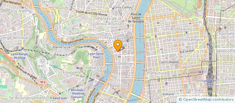 localisation de l'entreprise SYNERGICO à LYON