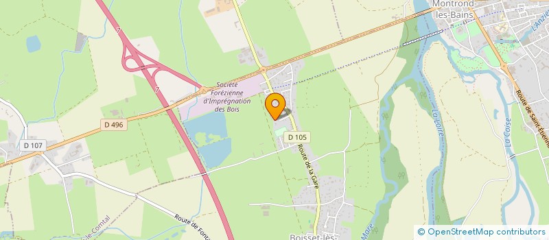 localisation de l'entreprise SYNERGIE  BOISSET-LES-MONTROND