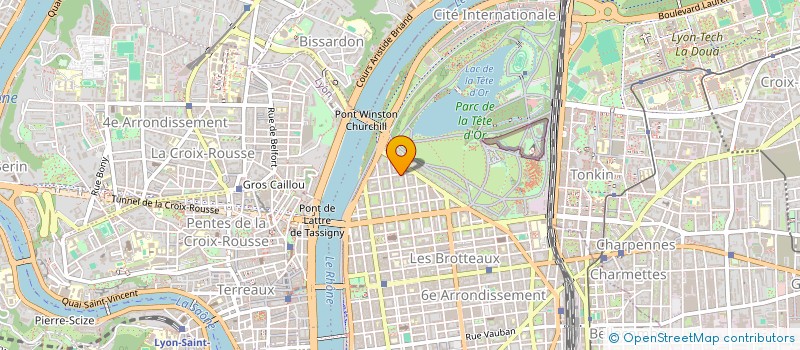 localisation de l'entreprise SYNERGIE SAVOIR FAIRE à LYON 6EME