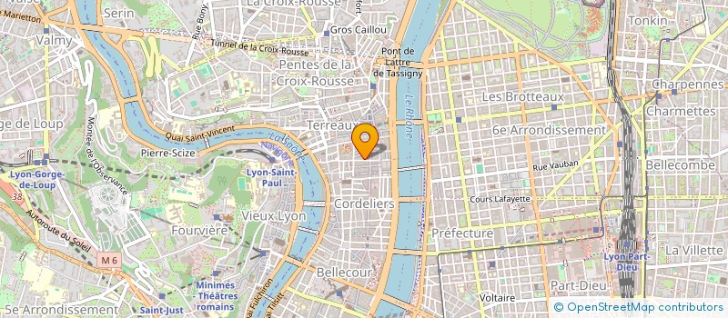 localisation de l'entreprise SYNERTRADE FR à LYON