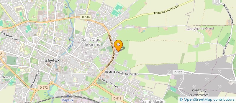 localisation de l'entreprise SYNOPSIS  SAINT-VIGOR-LE-GRAND