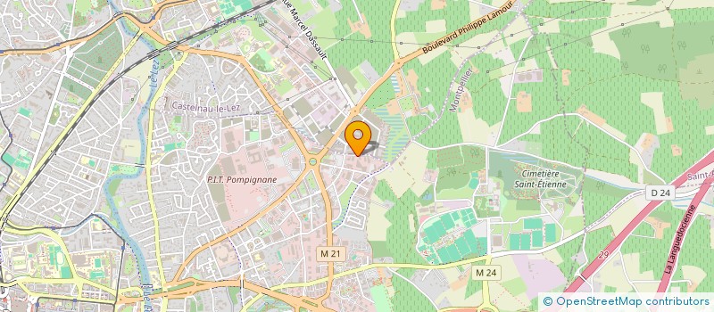 localisation de l'entreprise SYNOX  CASTELNAU-LE-LEZ