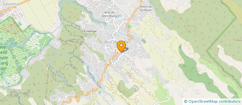 localisation de l'entreprise SYNTONIE  SAINT-PAUL