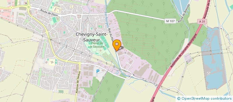 localisation de l'entreprise T.D-DISTRIBUTION THEVENIN-DUCROT-DISTRIBUTION  CHEVIGNY-SAINT-SAUVEUR