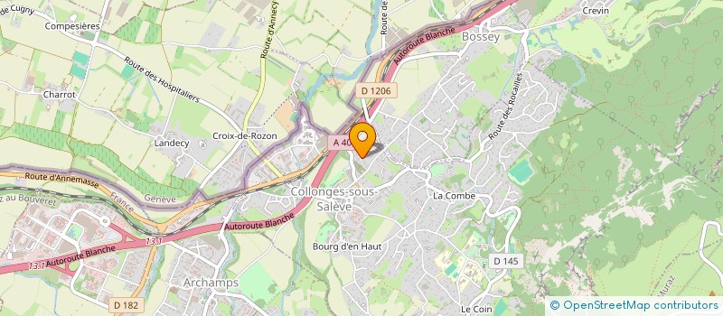 localisation de l'entreprise T.G IMMO  COLLONGES-SOUS-SALEVE